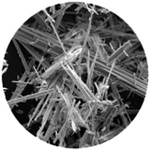 Anthophyllite