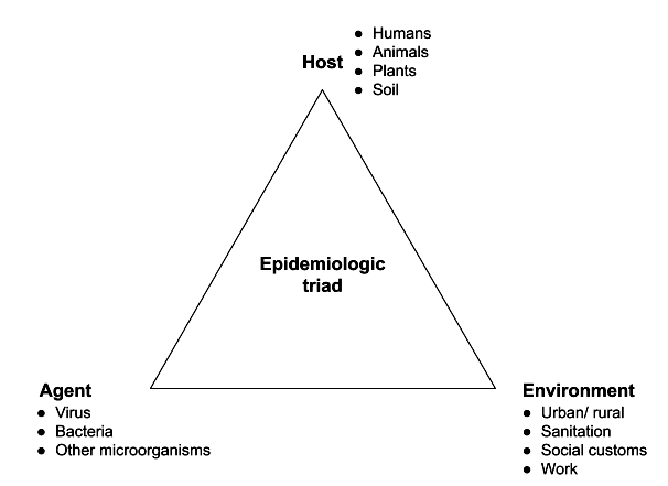 Main factors of epidemic and pandemic disease