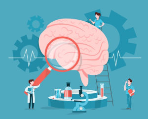 Brain – Injuries & Concussion