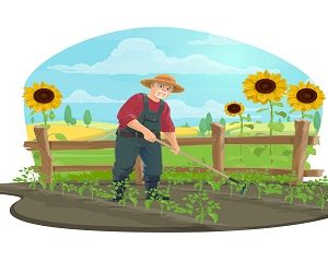 Gardening – Garden Design