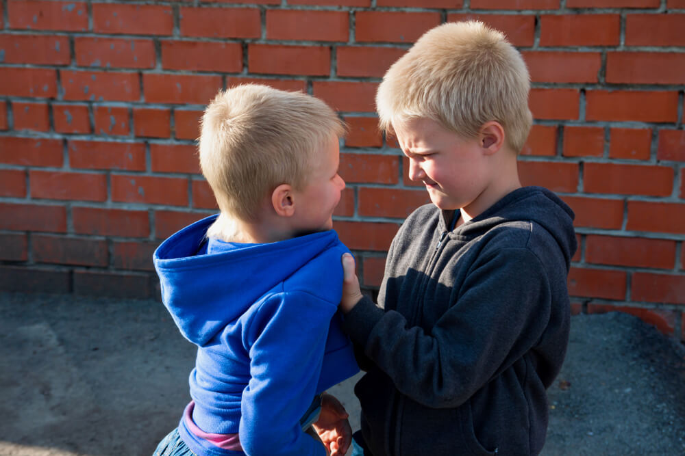 Child-Aggressive-Behaviour-Checklist