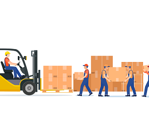 Manual Handling Picker Packer