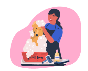 Dog Cleaning