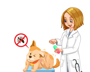Dog Parasite Care
