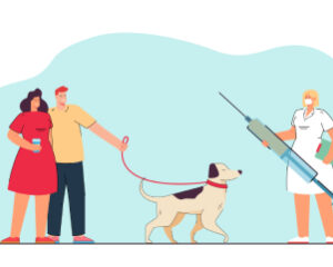 Level 3 Dog Care
