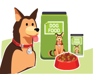 Dog Nutrition Level 3