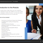 Working with Professionals beyond the School