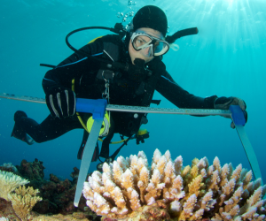 Marine Biology Course