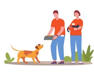 Raw Feeding Guide for Dog
