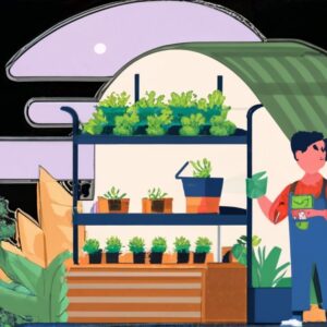 Build Your Own Home Hydroponic Farm