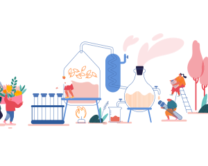 Introduction to Perfumery How To Make Perfume