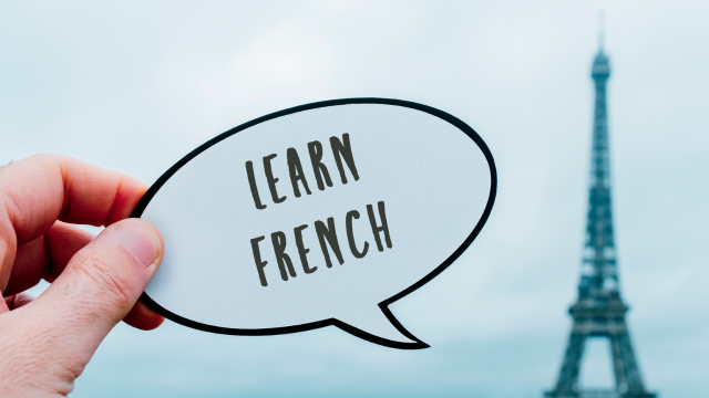 French Language Complete Course - Beginner, Intermediate & Advanced