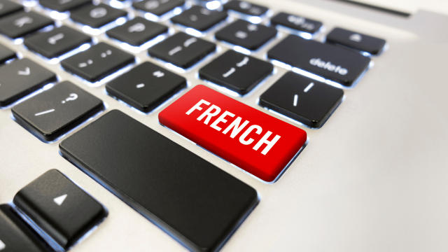 French Language Essential Training - Course 4