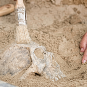 Archaeological Fieldwork Techniques Online Course