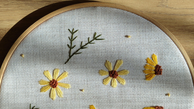 Embroidery for Beginners online course - Online Training Academy