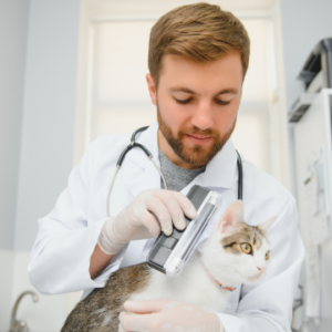 Health and Safety in Veterinary Services