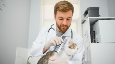 Health and Safety in Veterinary Services 1 - Online Training Academy