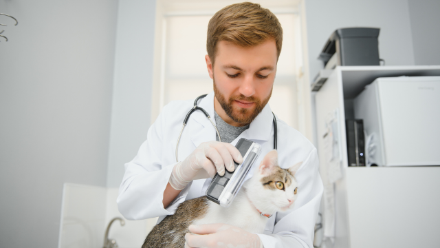Health and Safety in Veterinary Services 1 - Online Training Academy