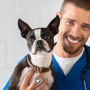Veterinary Technician