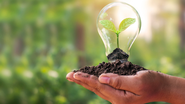 Environmental Impact Assessment Basics 1 - Online Training Academy