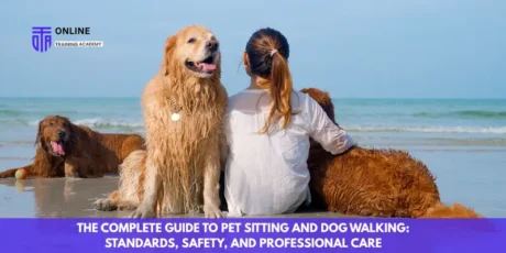 The Complete Guide to Pet Sitting and Dog Walking Standards, Safety, and Professional Care