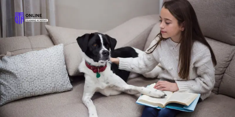 What Information to Leave a Pet Sitter
