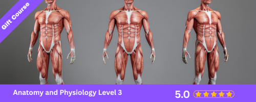 2 3 - Online Training Academy