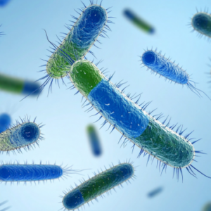 Legionella Awareness Training Level 3